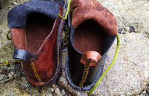 IMG_20200614_113738_1